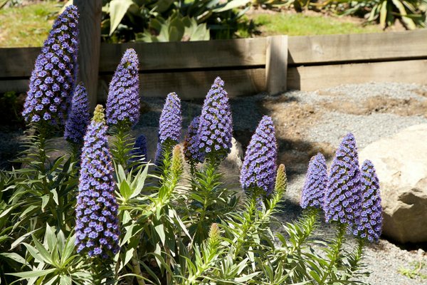 Location camion 30m³ : grande capacité pour déménagements faciles